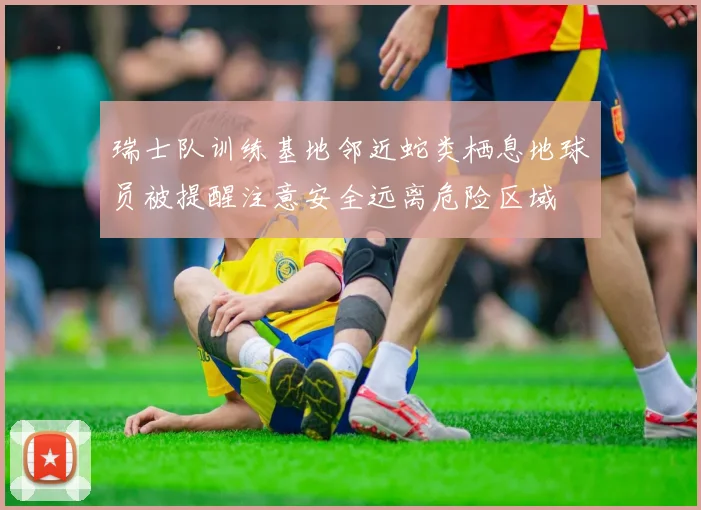 瑞士队训练基地邻近蛇类栖息地球员被提醒注意安全远离危险区域