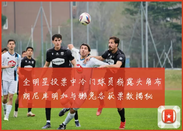 全明星投票中冷门球员崭露头角布朗尼库明加与獭兔各获票数揭秘